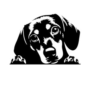 Dachshund Dog Puppy Peeking Vinyl Graphic Auto Wall Laptop Decal Animal Sticker